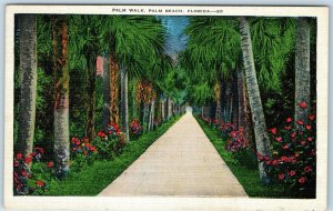 c1920s Palm Beach FL Walkway Walk Tree Path Trail Flowers Early Linen Kropp A220