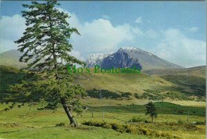 Scotland Postcard - Ben Nevis, Fort William, Inverness-shire   RR11352