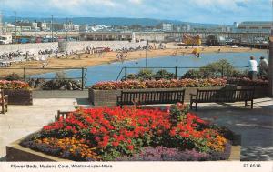 uk8110 flower beds madeira cove weston super mare  uk