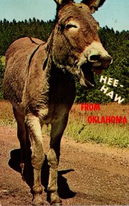 Donkey Hee-Haw From Oklahoma