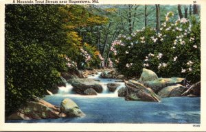 Maryland A Mountain Trout Stream Near Hagerstown