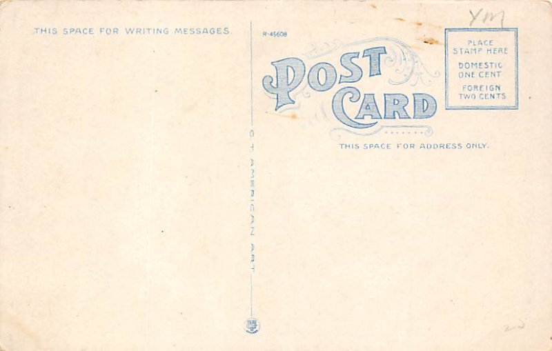 Young Alligator Just Hatched Alligator FL Postcard