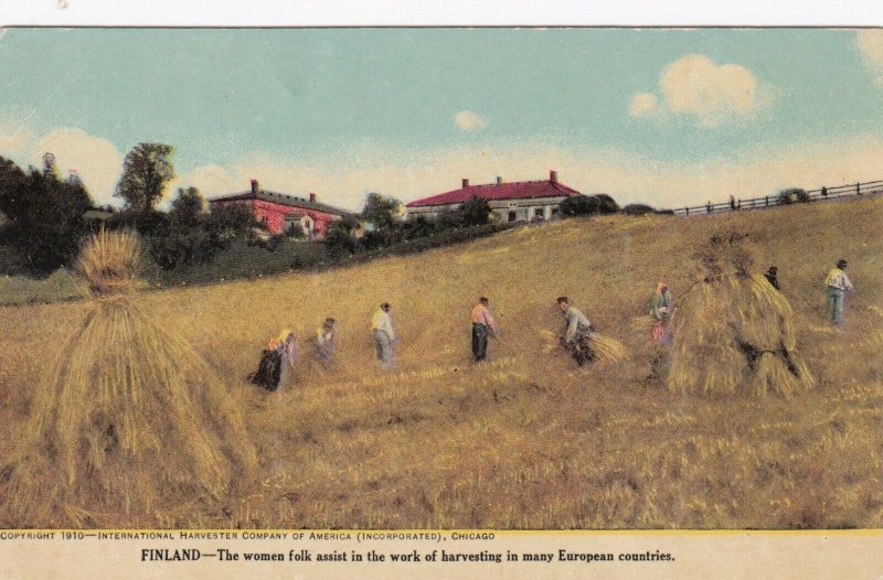 International Harvester Company In Finland Women Harvesting Wheat sk734