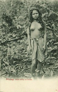 malay malaysia, PENANG, Wild Sakey Sakai of Perak (1910s) Postcard