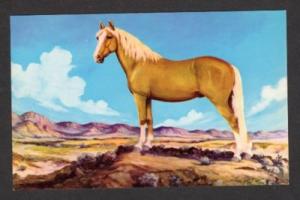 Palomino Stallion Horse Vern Parker Painting Postcard