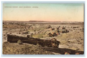 c1930's Petrified Forest Log Wood Near Holbrook Arizona AZ Handcolored Postcard