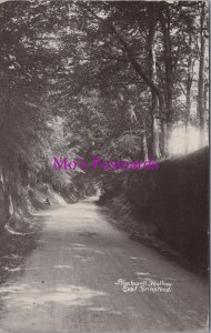 Sussex Postcard - East Grinstead, Blackwell Hollow. Posted 1912 - RS38138