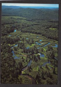 NY North Branch Moose River Carter Old Forge New York Bird's Seaplane Service