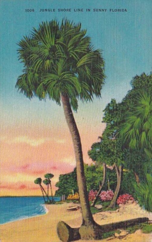 Florida Typical Jungle Shore Line 1946