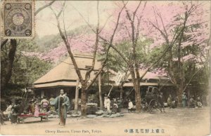 PC CHERRY BLOSSOM TOKYO UYENO PARK JAPAN HAND COLORIZED (a19950)