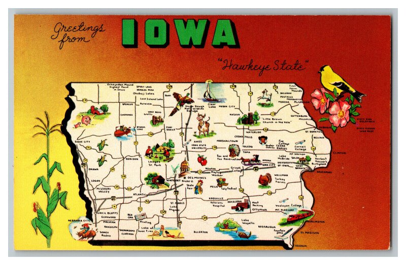 Postcard IA Greetings From IOWA Hawkeye State Vintage Standard View Map Card 