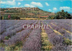 Postcard Modern Provence and its lavender fields