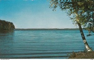 HONEY HARBOUR , Ontario , Canada , 1963 ; Panorama of Lake
