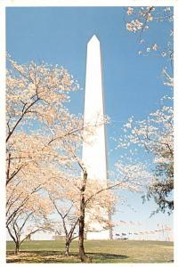 Washington Monument - Washington D.C.