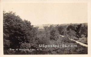 Birds Eye View - Shandelee, New York NY Postcard