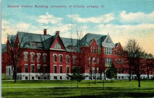 1910s Natural History Building University of Illinois Urbana IL Postcard