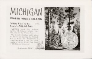 Michigan Water Wonderland White Pine State Tree Wolverine State RP Postcard G84