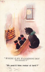 Animals Humanized Moonlight Black Cats Chimney Fire vintage postcard  B924