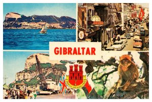 Postcard UK Gibraltar - Street Scenes Ocean monkey