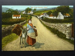 Ireland IRISH DONKEY & BASKETS Irish Country Lane - Old Postcard by Valentine