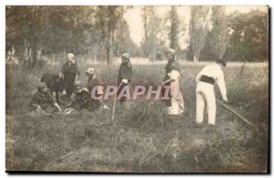 PHOTO CARD Africulture Donkey Donkey mule Mowing