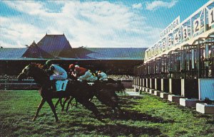 Start Of The Race Saratoga Race Track New York Horse Racing