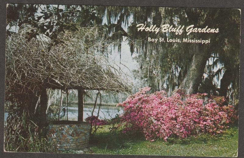 Holly Bluff Gardens Postcard Azaleas Bay St. Louis  Mississippi