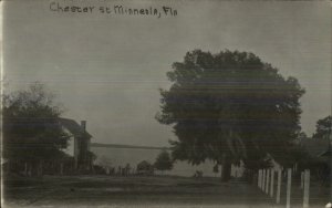 Minneola FL Chester St. c1910 Real Photo Postcard