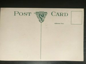 Vintage Postcard 1907-1915 Nayassest Club, Springfield, Massachusetts (MA)