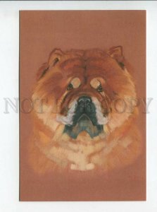 3179985 Dog Chow by Andreeva postcard