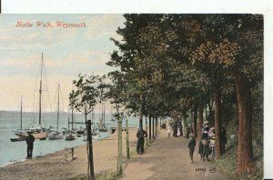 Dorset Postcard - Nothe Walk - Weymouth - Ref 10038A