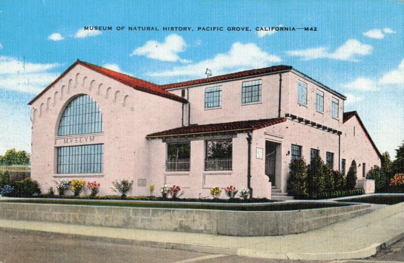 Museum of Natural History, Pacific Grove, California Linen Postcard 2T3-12