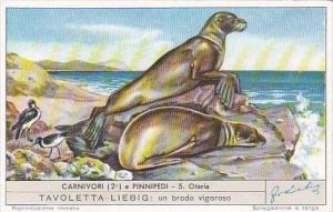 Liebig Trade Card S1586 Carnivores II No 5 Otaria