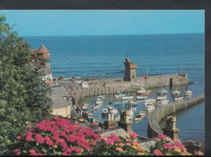 Devon Postcard - The Harbour, Lynmouth   T1314