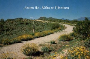 Across the Miles at Christmas,AZ BIN