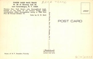 Finger Lakes Race Track Only thoroughbred track in Western NY Canandaigua, Ne...