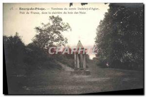 Old Postcard Bourg de Peage Tomb of Count Dedelay D & # 39Agier Peer of Franc...