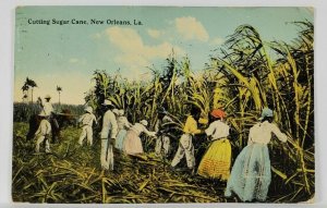 New Orleans LA Cutting Sugar Cane c1912 to Bridgeport CT Postcard R13