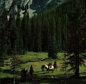 Pintlar Wilderness Area, SW of Butte, Montana Postcard, horseback cowboys