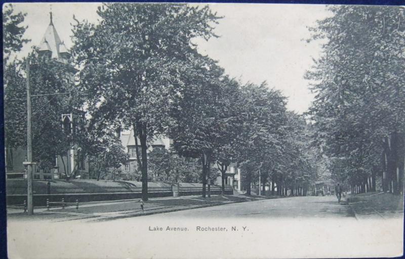 Lake Avenue Rochester NY - Undivided Back