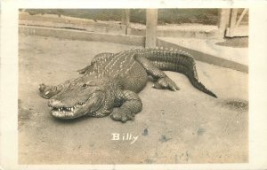 Postcard RPPC Photo Billy Alligator California Los Angeles Movie Star 22-12676