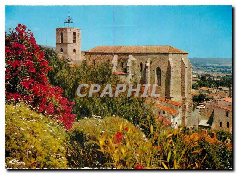 Modern Postcard Hyeres Var Palms Eglise Saint Paul