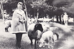 Canada Nova Scotia Middleton Ewe-Wear Sheepskin Products