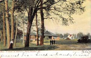 DECATUR,  Illinois IL     FAIRVIEW PARK     1907  Postcard