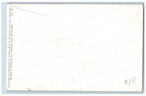 Bermuda Postcard Road Scene Oleanders Tree Plant c1910 Antique Unposted