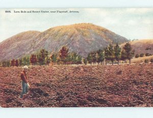 Divided-Back RUSTIC SCENE Flagstaff Arizona AZ hk3983