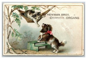 Vintage 1880's Victorian Trade Card Newman Brothers Organs Chicago Illinois