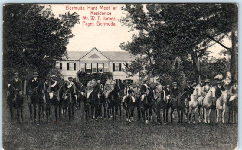 PAGET, BERMUDA  Hunt Meet at Mr. W.T. James Residence  Horses/Riders  Postcard