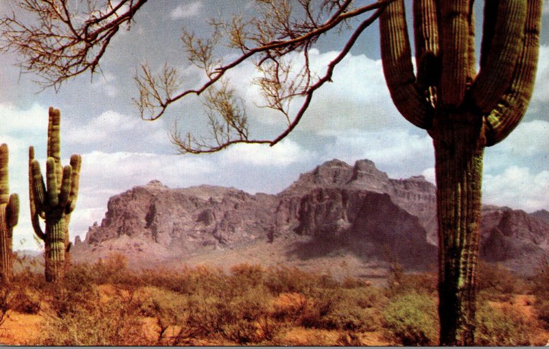 Arizona Superstition Mountains and Saguaros Along The Apache Trail