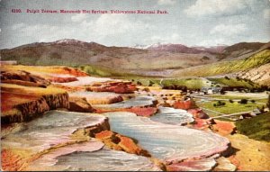 Yellowstone National Park Pulpit Terrace Mammoth Hot Springs